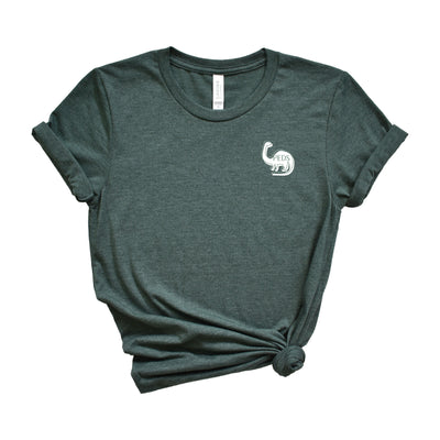 Pediatric Dinosaur - Shirt