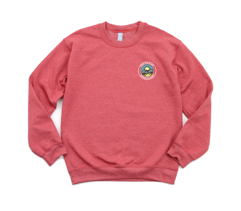 DSC Hematology - Round 2 - Non-Pocketed Crew Sweatshirt