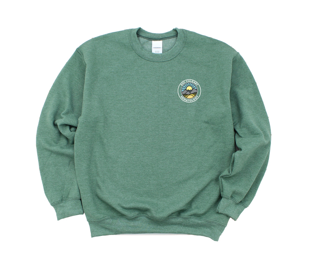DSC Hematology - Round 2 - Non-Pocketed Crew Sweatshirt