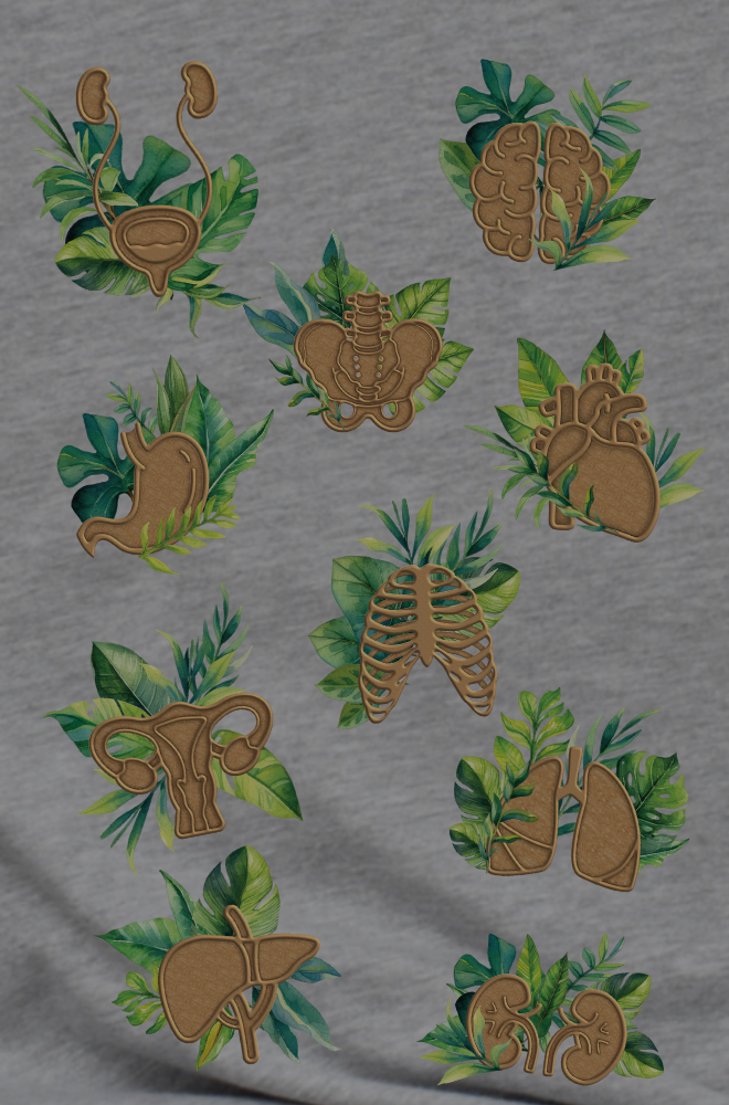 <h3>Medical Art <em>Inspired by Nature</em></h3>