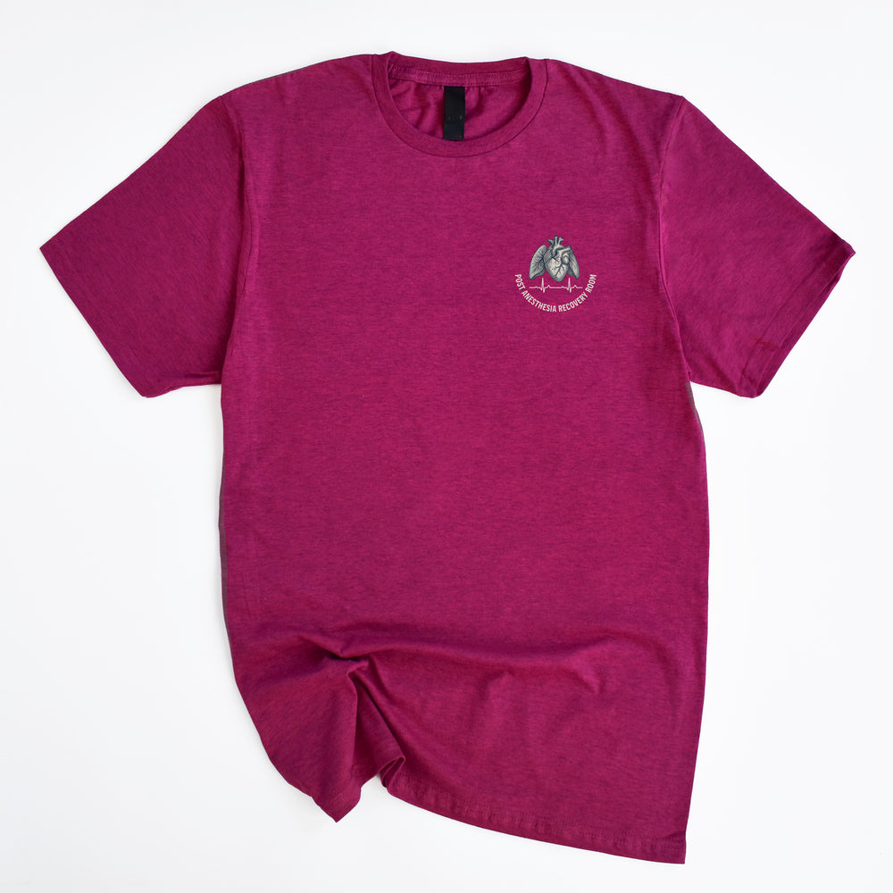 St. Boniface Post Anesthesia Recovery Room Mini Order